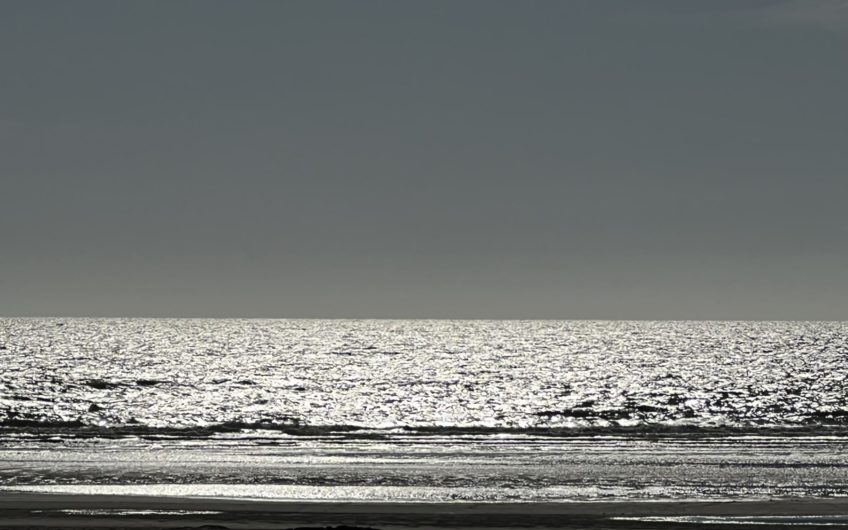 Le Touquet Paris Plage, Résidence l’Hermitage, T2 avec Parking