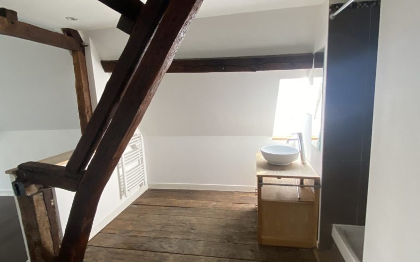 Grand appartement en hyper centre