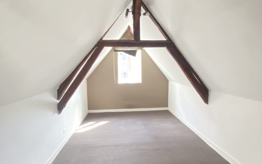 Grand appartement en hyper centre