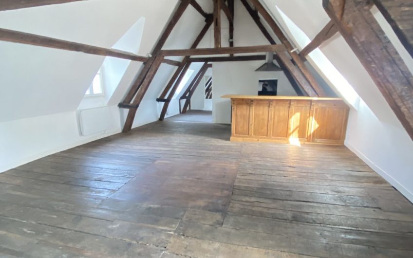 Grand appartement en hyper centre