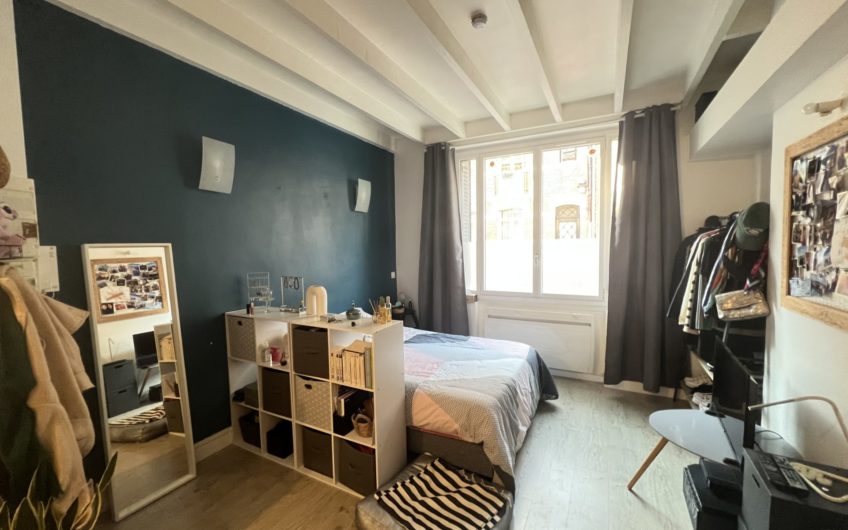 Grand studio proche centre-ville
