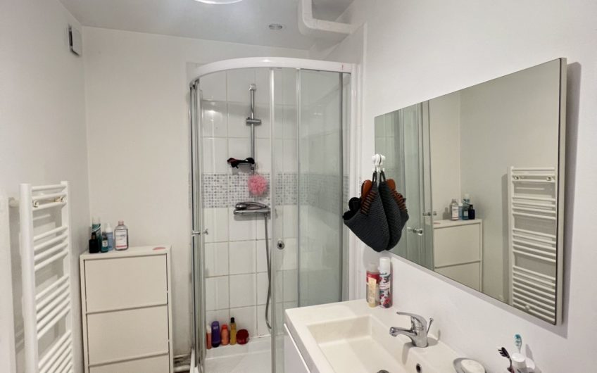 Grand studio proche centre-ville