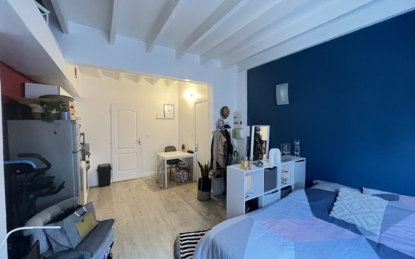 Grand studio proche centre-ville