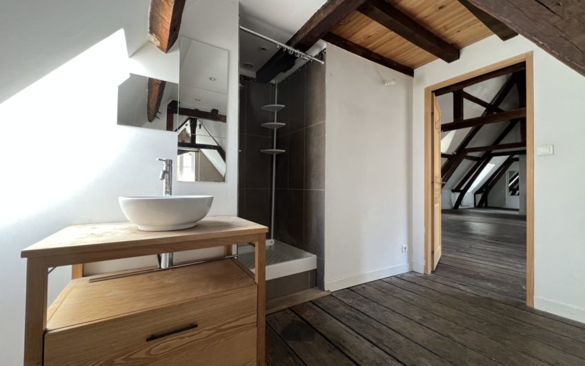 Grand appartement en hyper centre