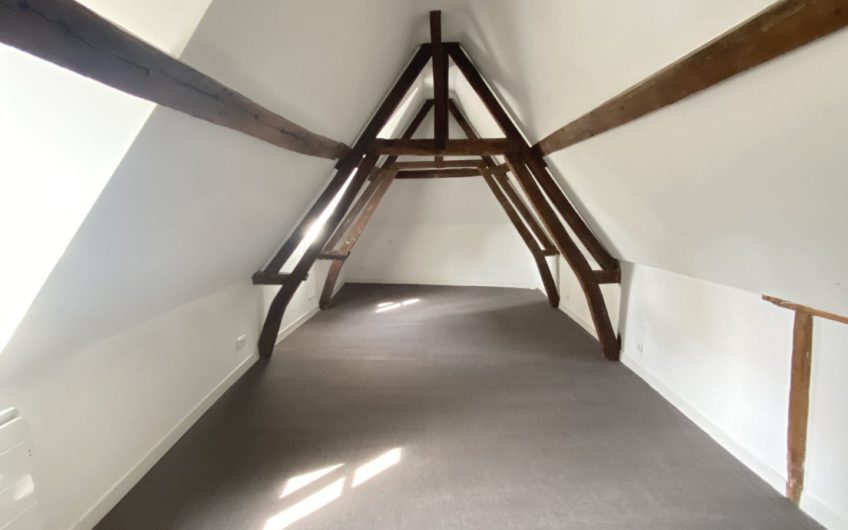 Grand appartement en hyper centre