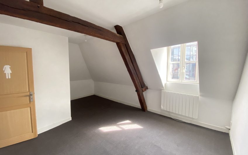 Grand appartement en hyper centre