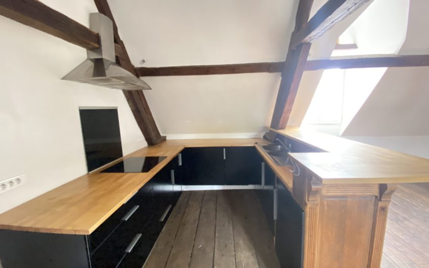 Grand appartement en hyper centre