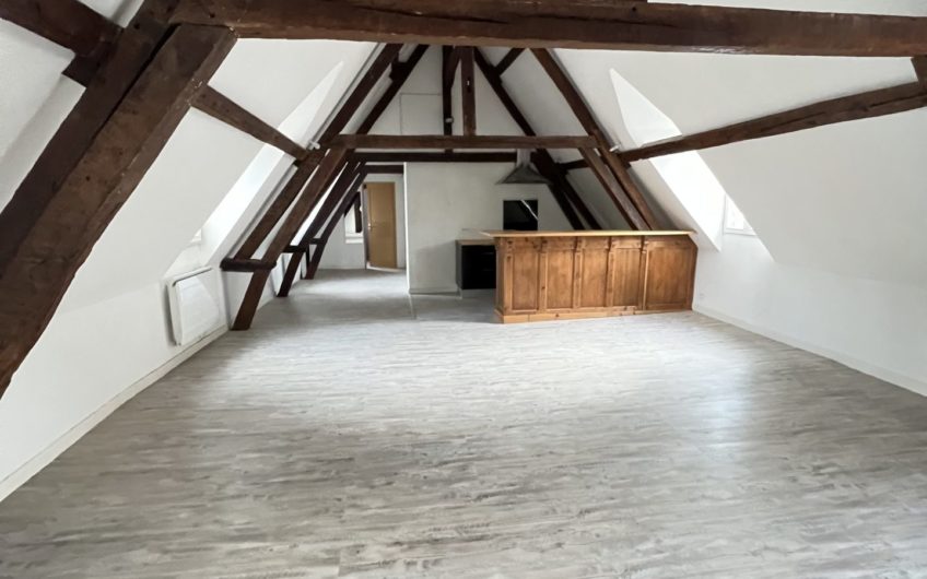 Grand appartement en hyper centre