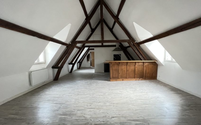 Grand appartement en hyper centre