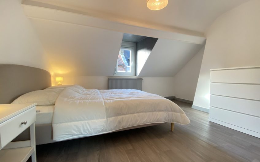 Henriville, maison meublée proche du Cirque