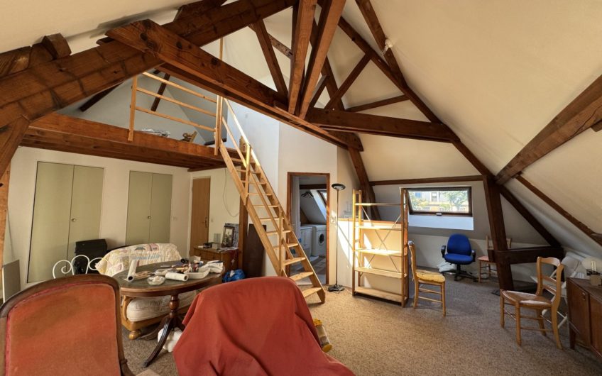 Un Appartement spacieux et un studio au pied de la gare