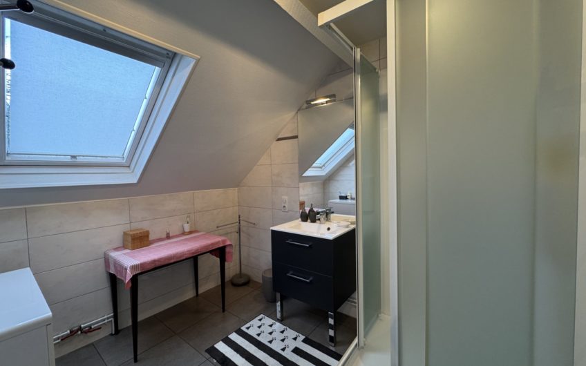 Maison bourgeoise 197m2,  2garages et jardin à Henriville