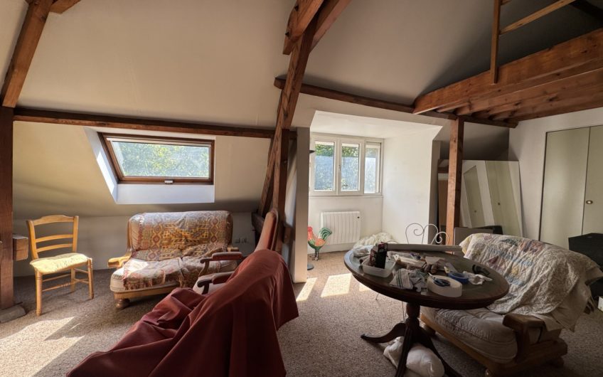 Un Appartement spacieux et un studio au pied de la gare
