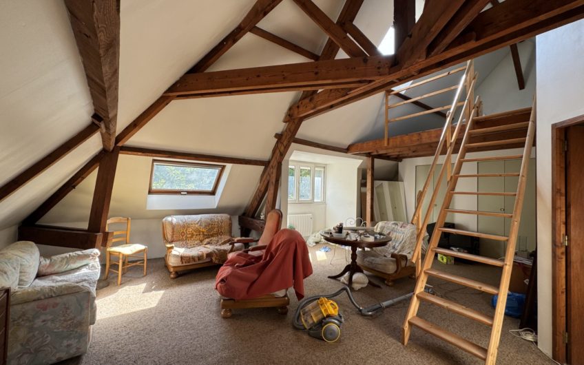 Un Appartement spacieux et un studio au pied de la gare