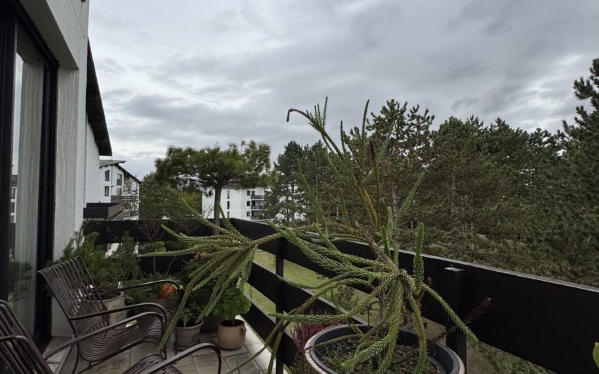 Parc Delpech, duplex, studio et plus