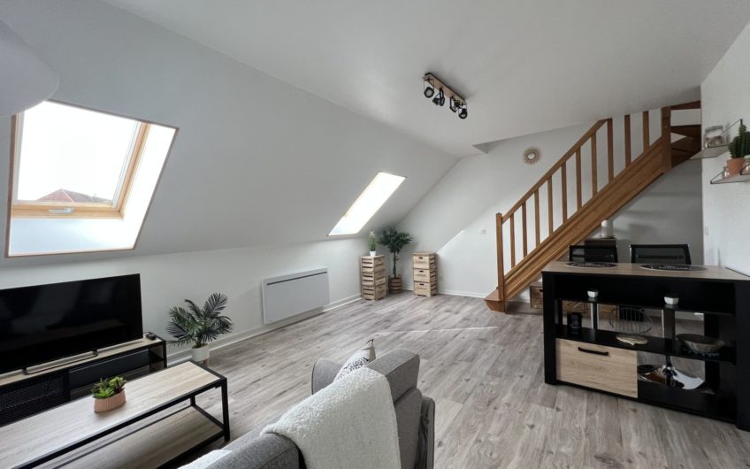 Superbe Duplex meublé avec parking