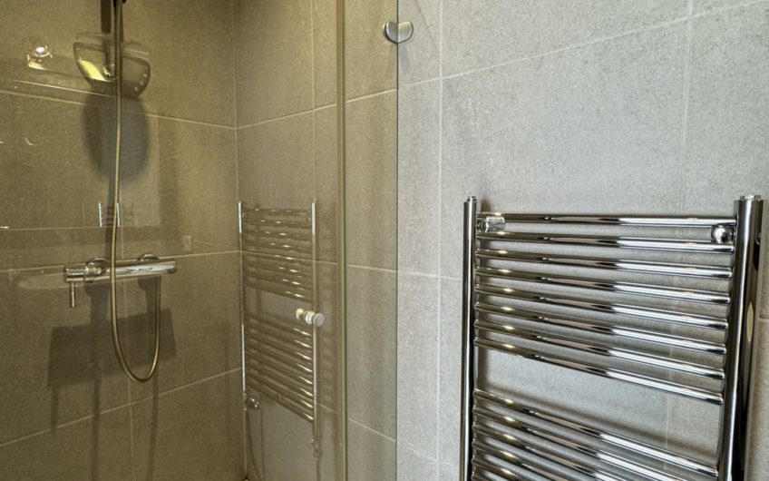 Grand loft meublé avec terrasse et garage en hypercentre