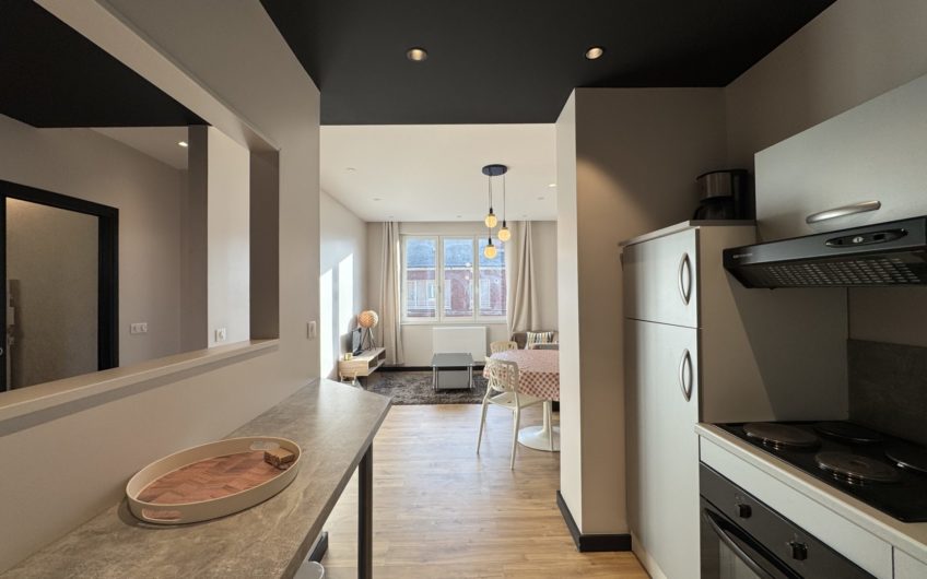 T3 meublé en hypercentre