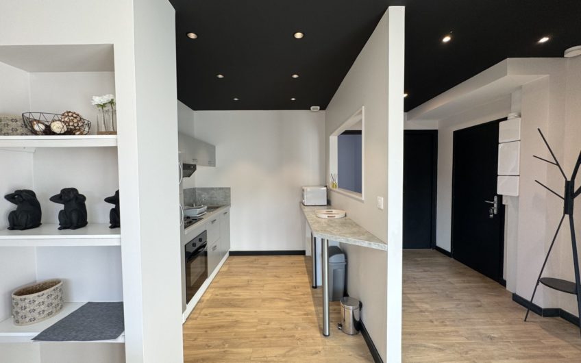 T3 meublé en hypercentre