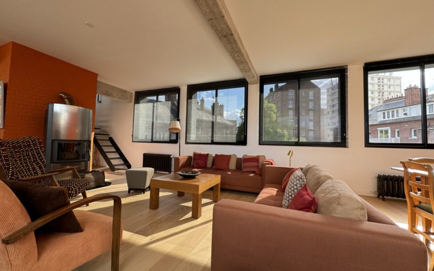 Grand loft meublé avec terrasse et garage en hypercentre