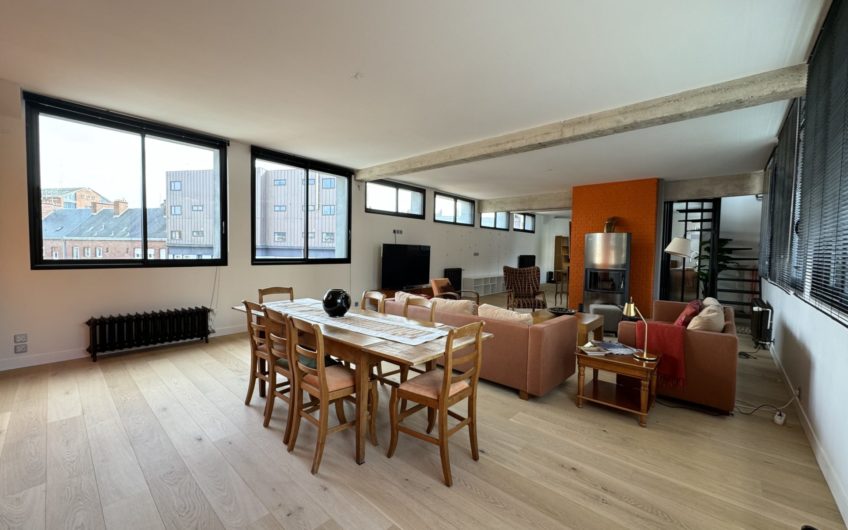 Grand loft meublé avec terrasse et garage en hypercentre