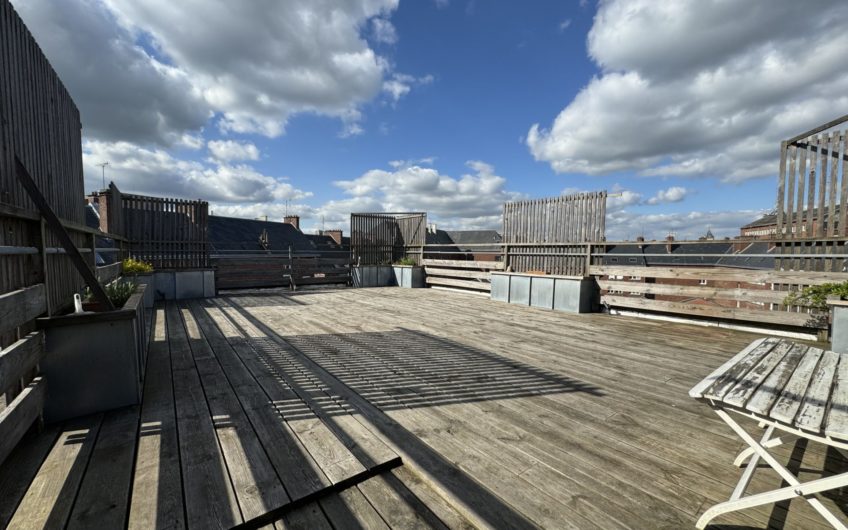 Grand loft meublé avec terrasse et garage en hypercentre