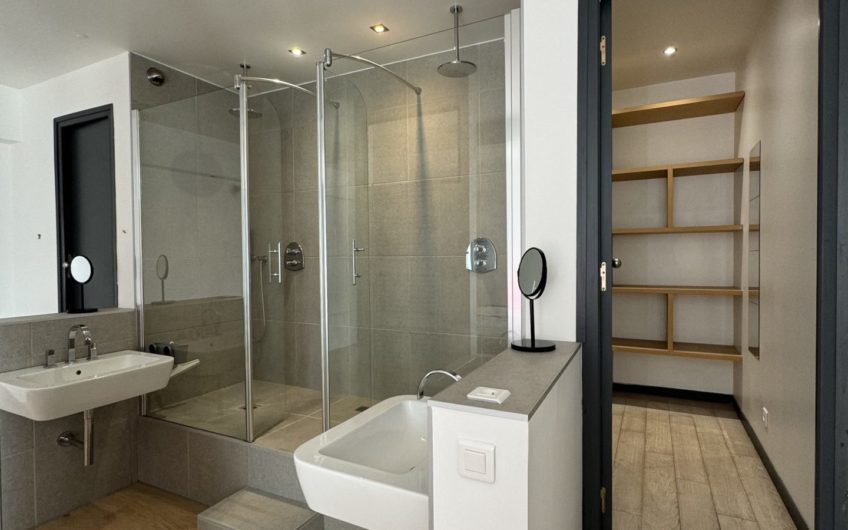 Grand loft avec terrasse et garage en hypercentre