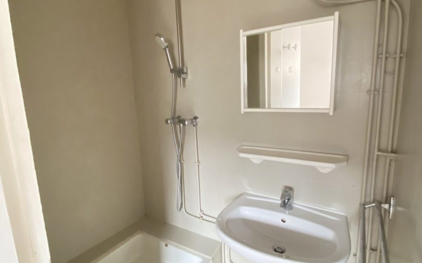 Hyper centre, studio lumineux rue des 3 Cailloux