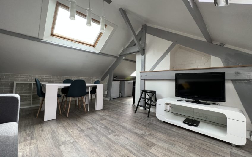 Centre-ville / T2 meublé proche des Halles