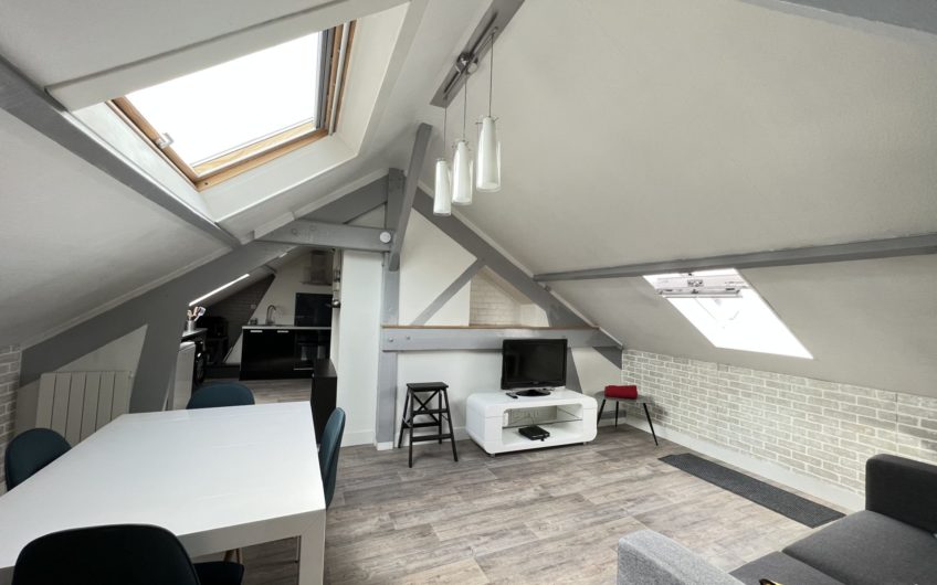 Centre-ville / T2 meublé proche des Halles