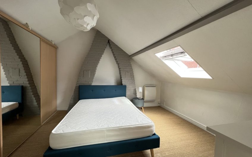 Centre-ville / T2 meublé proche des Halles