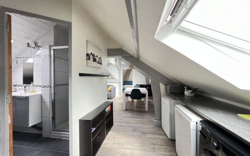 Centre-ville / T2 meublé proche des Halles