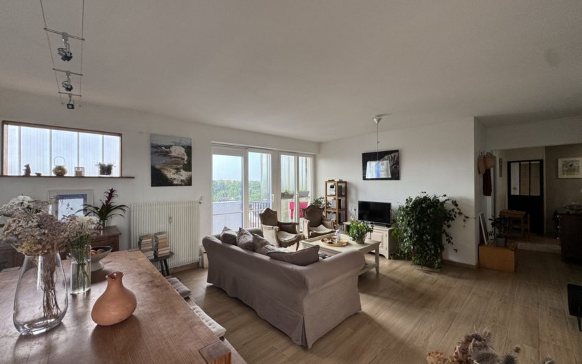 Grand appartement proche gare