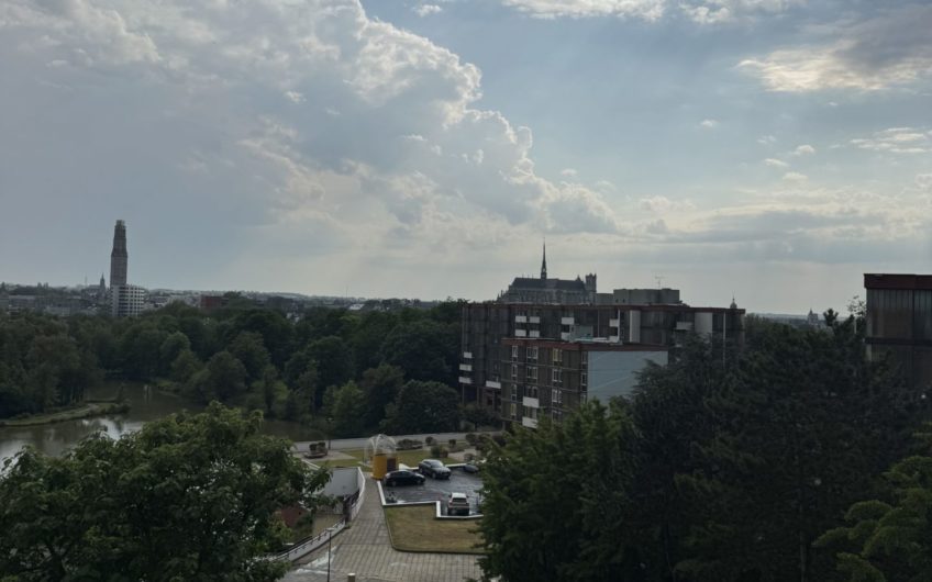 Grand appartement proche gare