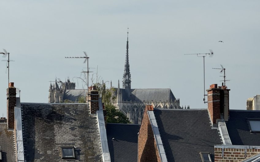 T1 meublé avec parking à Henriville