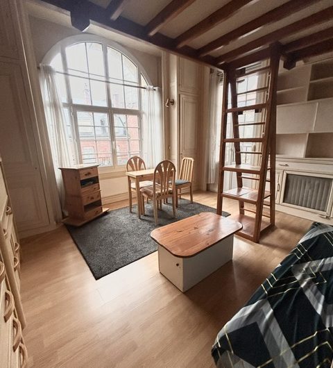 T1 Bis 31m2 avec une mezzanine en plus de 6m2 hyper-centre
